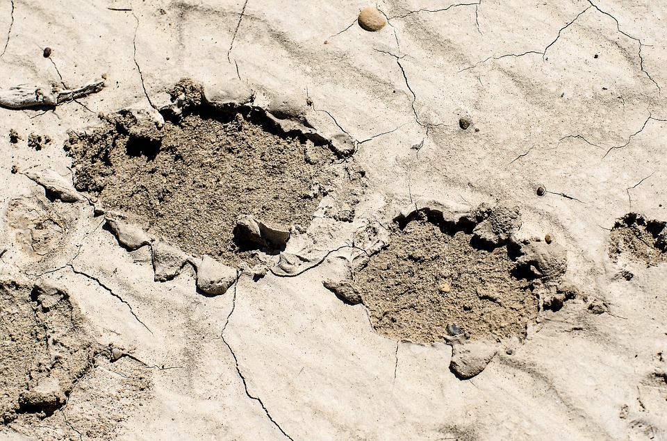 footprint-in-mud-1110405_960_720